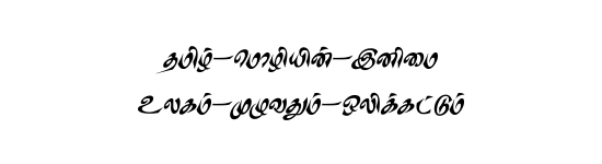 STMZH - 009